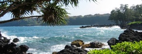 The Maui coast